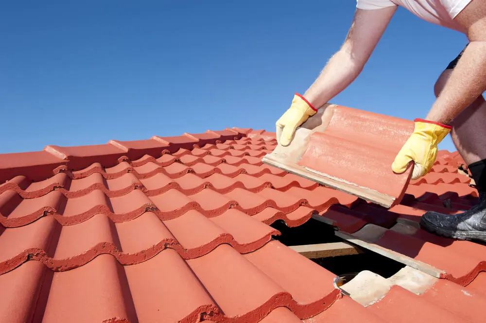 Roof Inspection